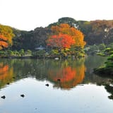 Kiyosumi