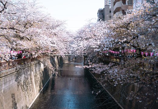 Nakameguro, Tokyo