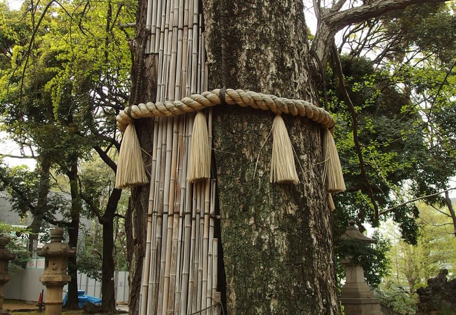 Akasaka Hikawa Shrine, Akasaka, Tokyo