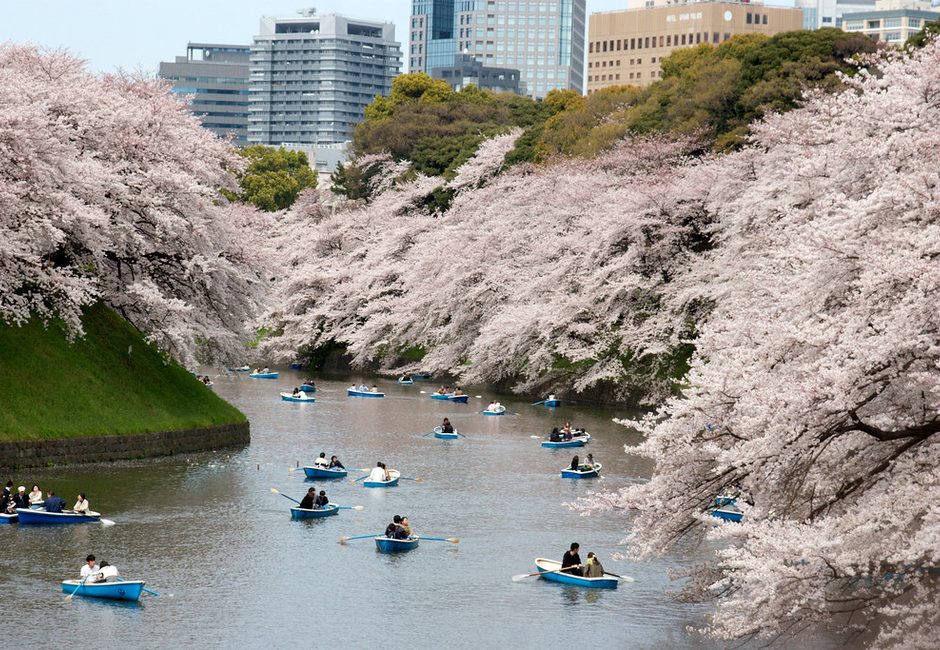 Chidorigafuchi, Chiyoda, Tokyo