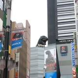 Godzilla Head