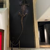 Intermediatheque