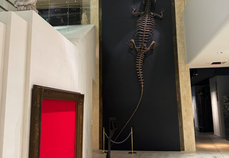 Ancient crocodile fossil mounted on a dark wall in the white galleries of Intermediatheque, Marunouchi