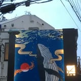 Kairyoyu