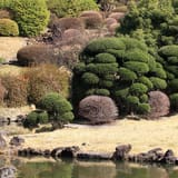 Koishikawa Botanical Garden