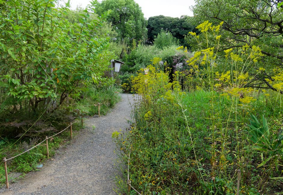 Gravel path winding between wildflower beds in the Edo-era Mukojima-Hyakkaen Garden, Sumida