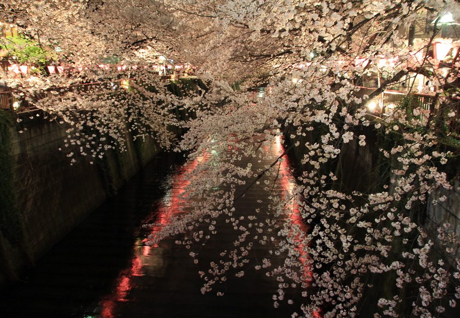 Nakameguro, Nakameguro, Tokyo