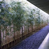 Nezu Museum