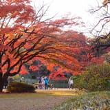 Rikugien Gardens