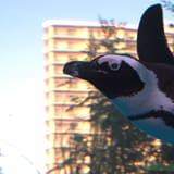 Sunshine Aquarium