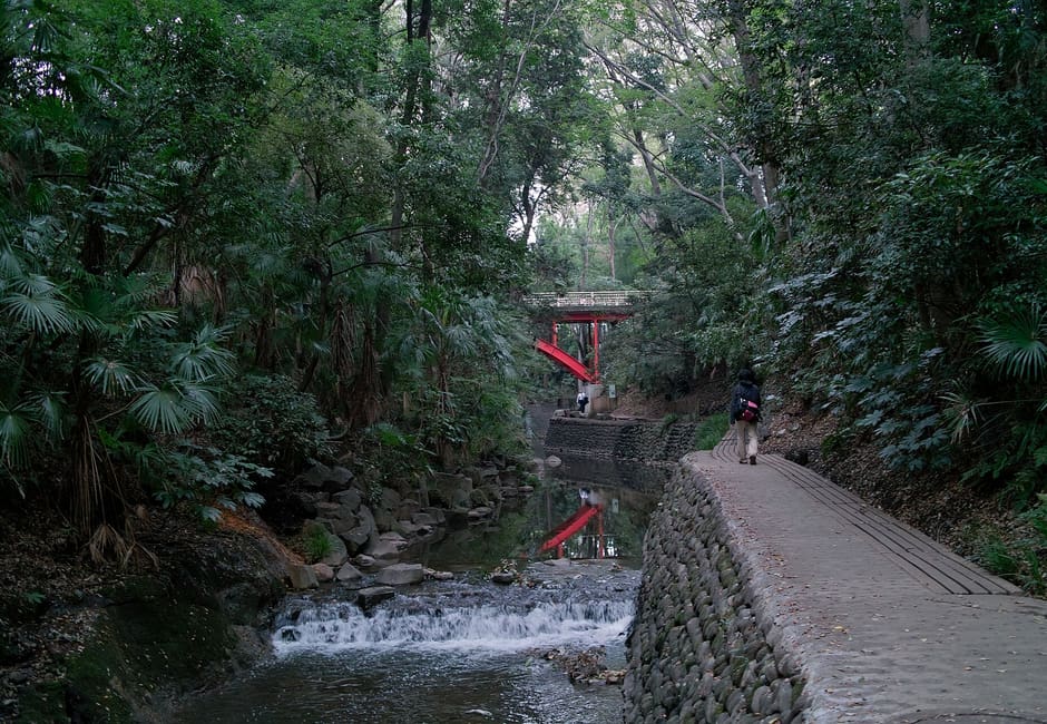 Stream and stone walkway through the wooded Todoroki Valley gorge with a red bridge ahead
