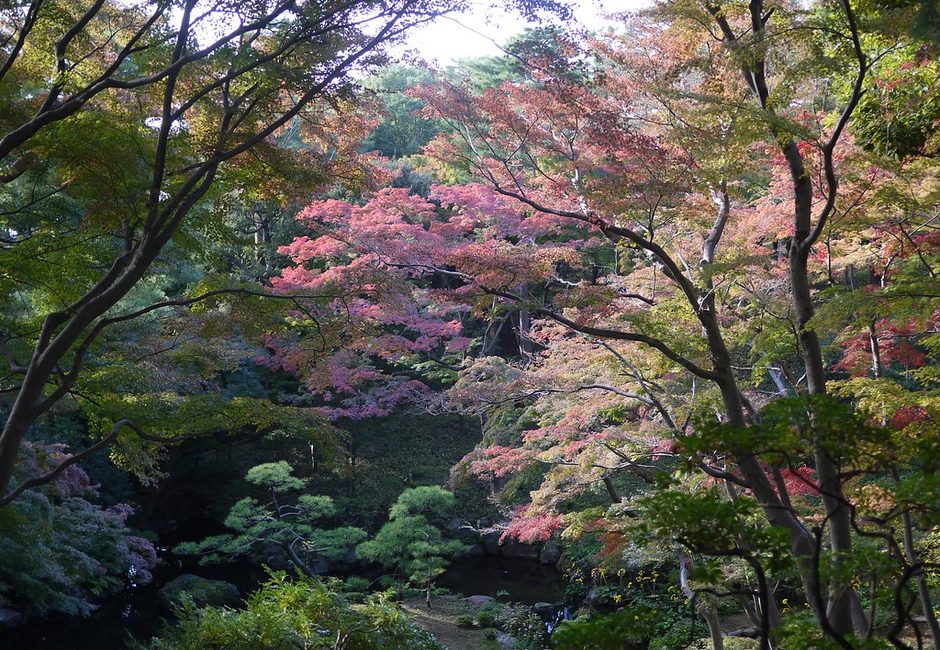 Tonogayato Garden, Kokubunji, Tokyo