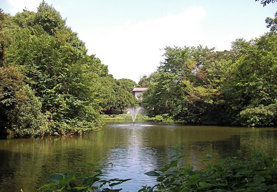 Wadabori Park, Suginami, Tokyo