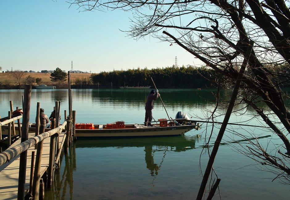 Boatman poling the small Yagiri no Watashi ferry beside its wooden jetty on the Edo River