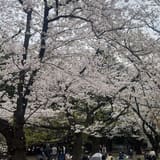 Yoyogi Park