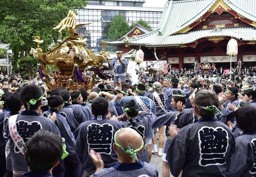 A mikoshi arriving in the crowded courtyard of Kanda Myojin during Kanda Matsuri