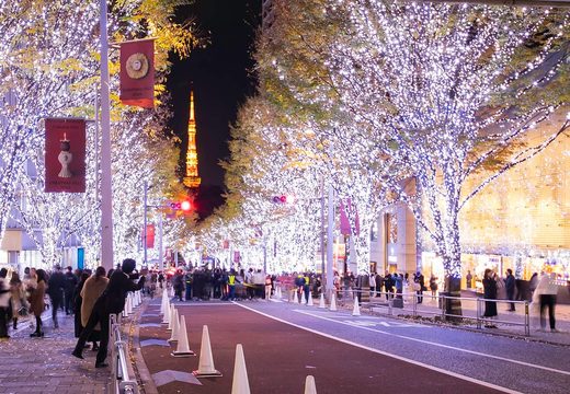 Keyakizaka-dori trees lit white and blue with Tokyo Tower glowing beyond, Roppongi